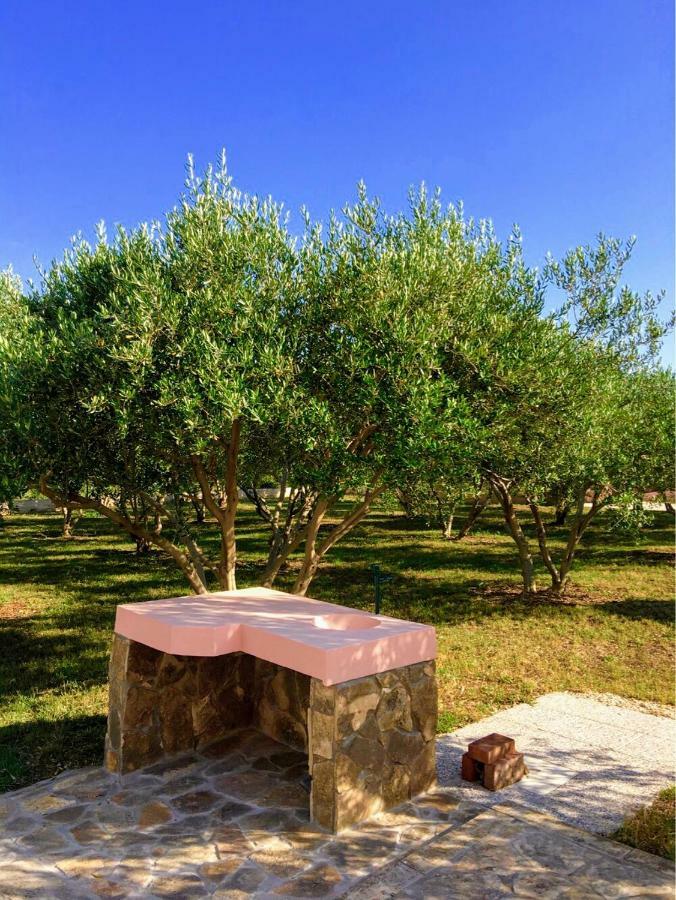 Vacation House Maslina Rupalj Dış mekan fotoğraf
